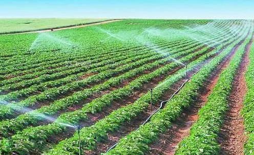 操批在线观看农田高 效节水灌溉